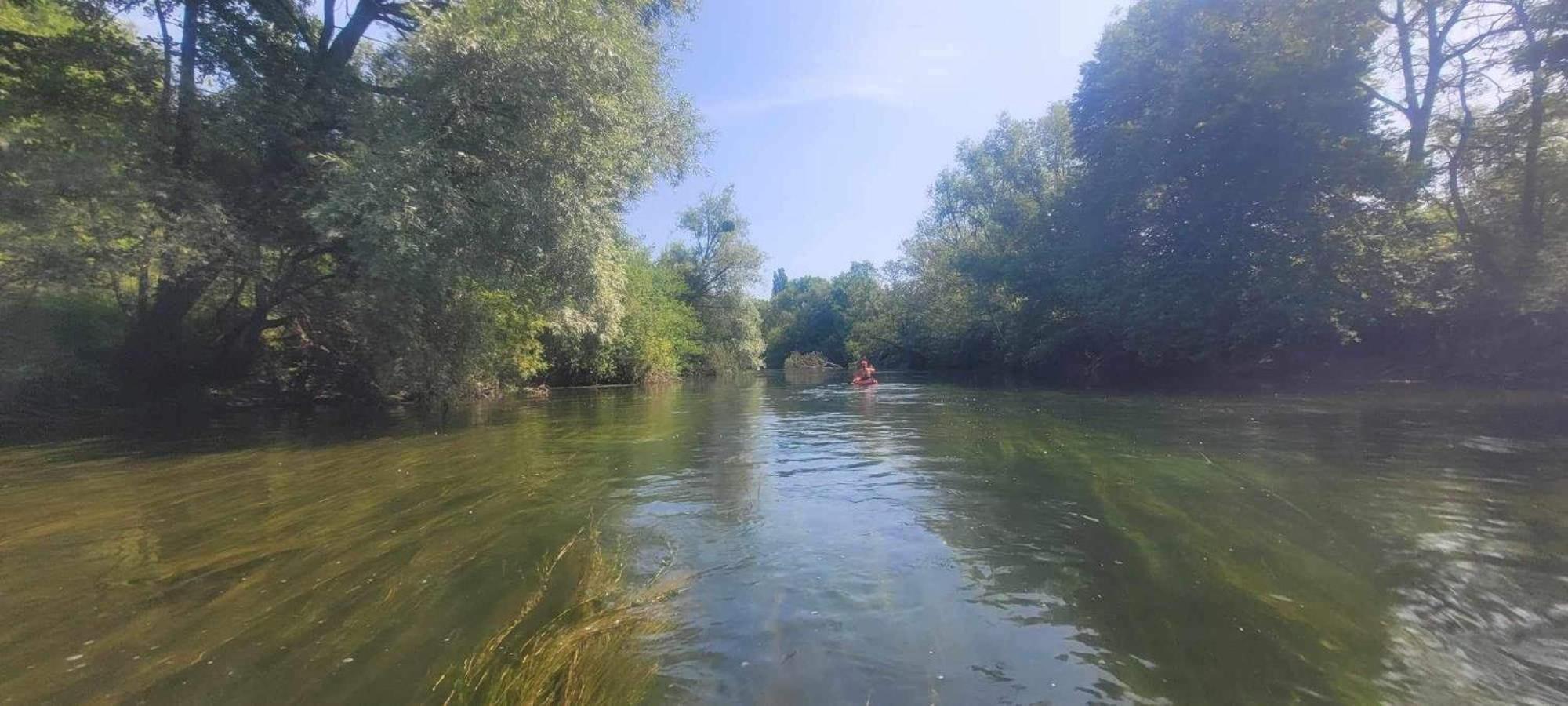 Detente A Sorques Montigny-sur-Loing Eksteriør bilde