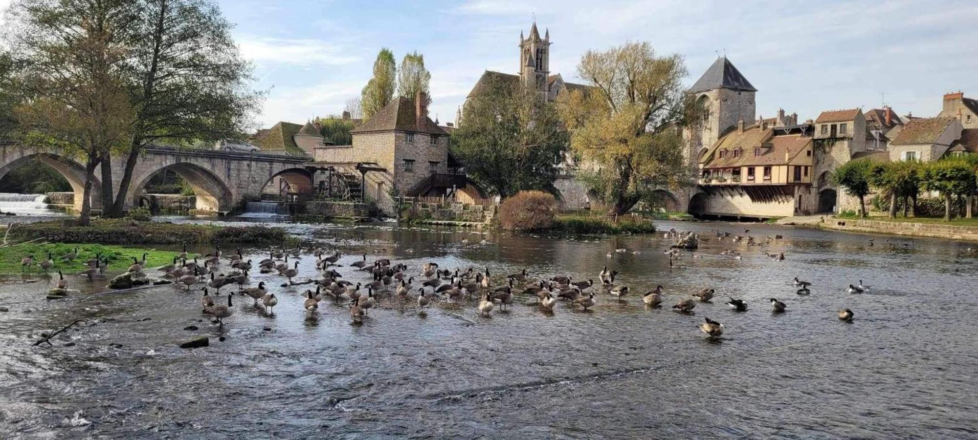 Detente A Sorques Montigny-sur-Loing Eksteriør bilde